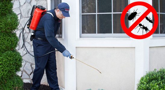Çilimli Gümüşkurt İlaçlama böcek ilaçlama ve haşere kontrolü — ilaclama-tr.com